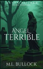 Angel Terrible
