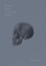 La Montagne magique (Tome I)