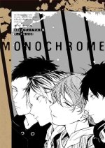 GIVEN - ILLUSTRATION COLLECTION MONOCHROME SIDE REPRINT (ARTBOOK VO JAPONAIS)