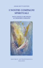 nostri compagni spirituali. Dagli angeli e arcangeli ai cherubini e serafini