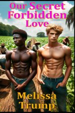 Our Secret Forbidden Love