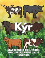 Kýr