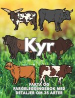 Kyr