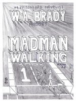 Madman Walking