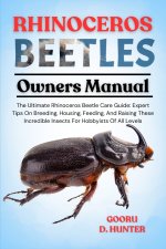 RHINOCEROS BEETLES