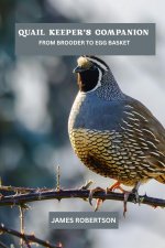 Quail keeper's companion