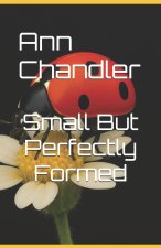 Small But Perfectly Formed