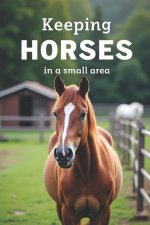 Keeping Horses in a Small Area