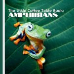 The Little Coffee Table Book