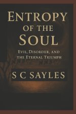 Entropy of the Soul