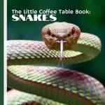 The Little Coffee Table Book