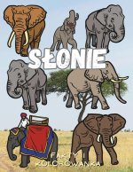 Słonie