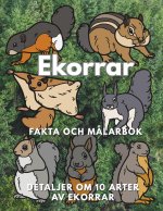 Ekorrar