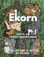 Ekorn
