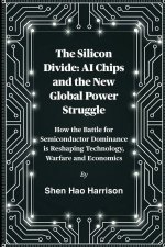 The Silicon Divide