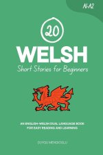 20 Welsh Short Stories for Beginners