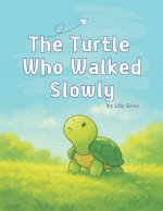 The Turtle Who Walked Slowly