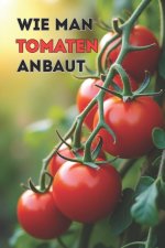 Wie man Tomaten anbaut
