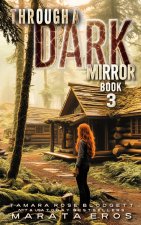 Through a Dark Mirror