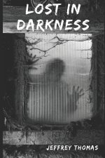 Lost in Darkness