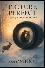 Picture Perfect