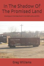 In The Shadow Of The Promised Land