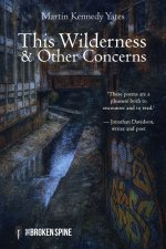 This Wilderness & Other Concerns
