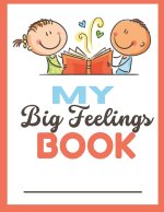 My Big Feelings Book