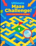 Ultimate Maze Challenge