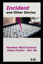 Incident and Other Stories