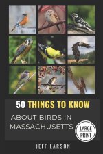 50 Things to Know About Birds in Massachusetts Large Print