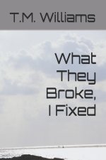 What They Broke, I Fixed