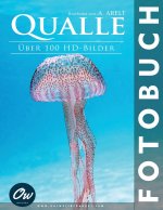 Qualle