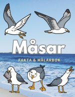 Måsar