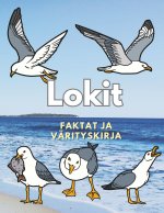 Lokit