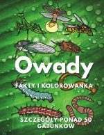 Owady