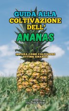 Guida alla coltivazione dell' Ananas