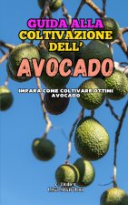 Guida alla Coltivazione dell' Avocado
