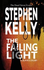 The Failing Light