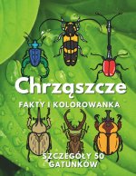 Chrząszcze