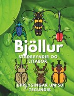 Bjöllur