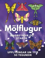 Mölflugur