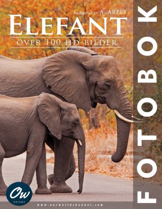 Elefant