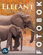 Elefant