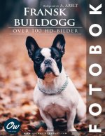 Fransk bulldogg