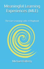Meaningful Learning Experiences (MLE)