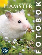 Hamster