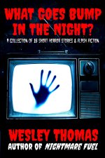 What Goes Bump in the Night?