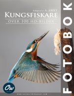 Kungsfiskare