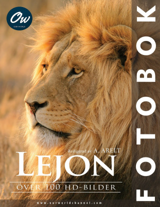 Lejon